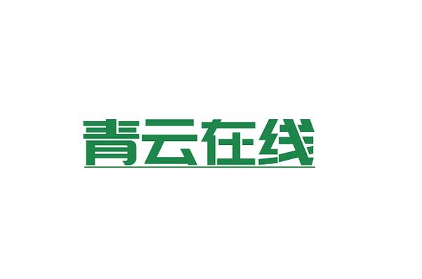 开发;大数据服务;数据处理服务;软件外包服务;网络与信息安全软件开发